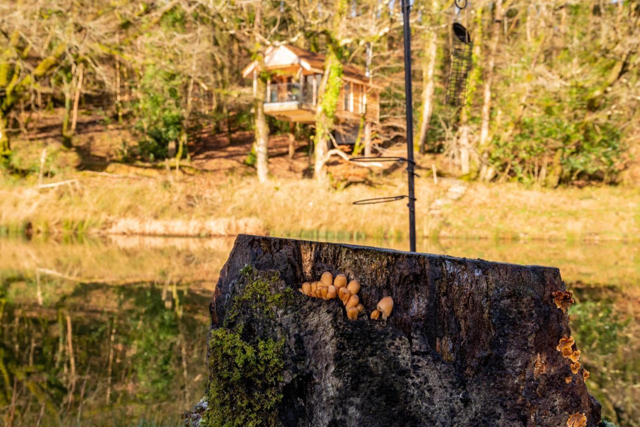 Finest Retreats - The Tree House - Eco-Friendly, Back To Nature Experience Germansweek Exteriér fotografie